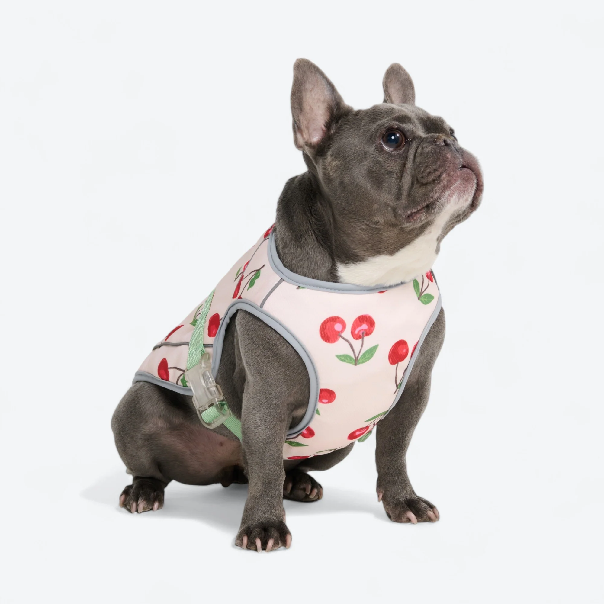 Product image 68