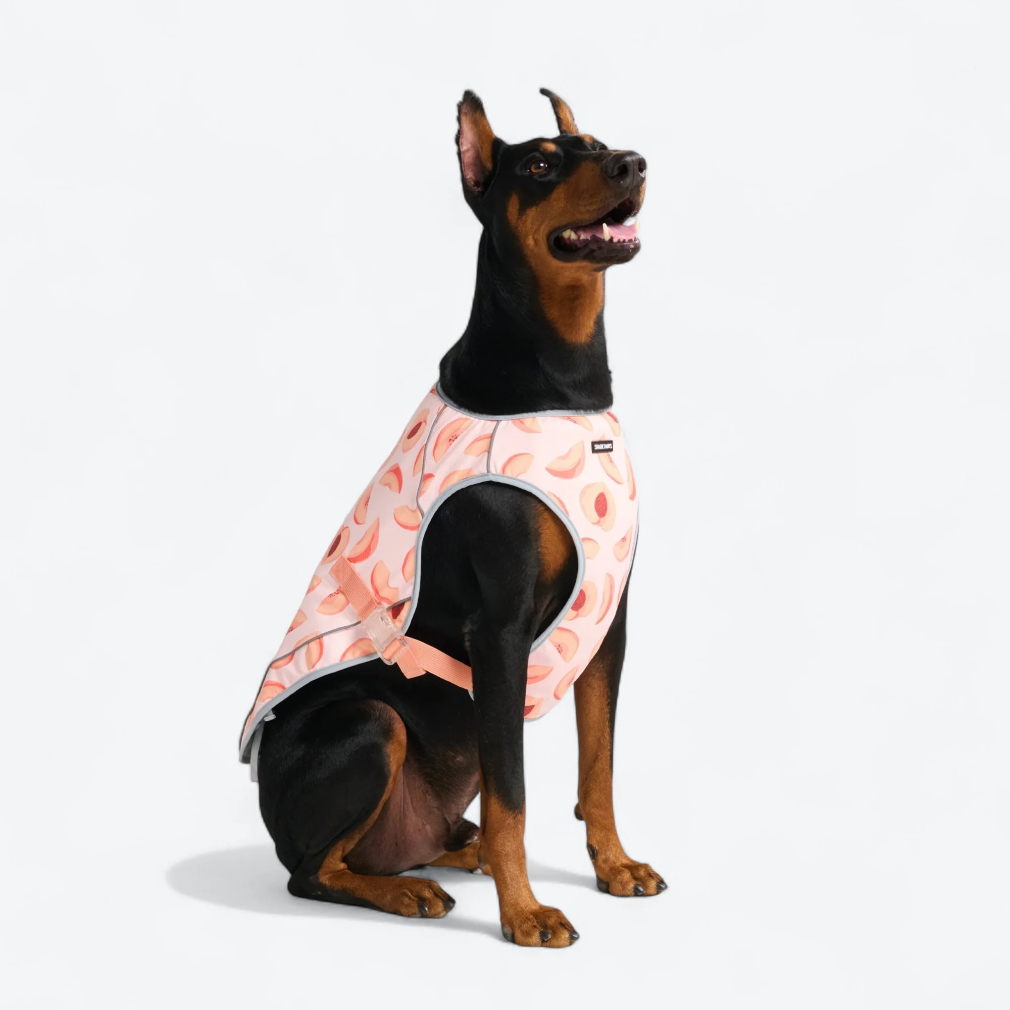 Product image 81